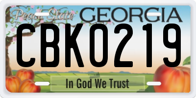 GA license plate CBK0219