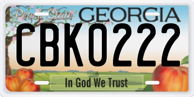 GA license plate CBK0222