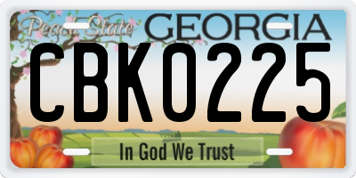 GA license plate CBK0225