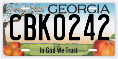 GA license plate CBK0242