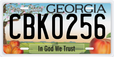 GA license plate CBK0256