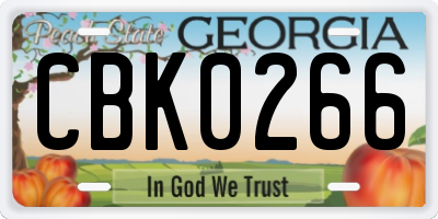 GA license plate CBK0266