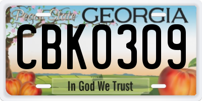 GA license plate CBK0309
