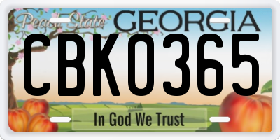 GA license plate CBK0365