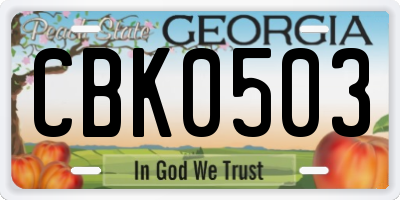 GA license plate CBK0503