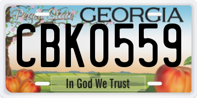 GA license plate CBK0559