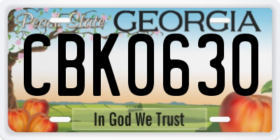 GA license plate CBK0630