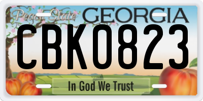 GA license plate CBK0823