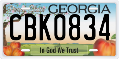 GA license plate CBK0834