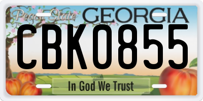 GA license plate CBK0855