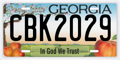 GA license plate CBK2029