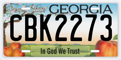 GA license plate CBK2273