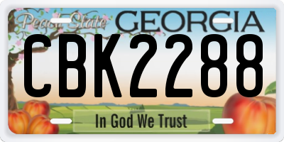 GA license plate CBK2288