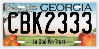 GA license plate CBK2333