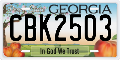GA license plate CBK2503