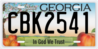 GA license plate CBK2541