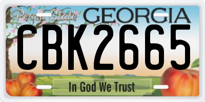 GA license plate CBK2665