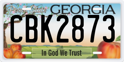 GA license plate CBK2873