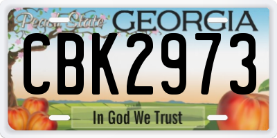 GA license plate CBK2973