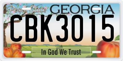 GA license plate CBK3015