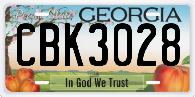 GA license plate CBK3028