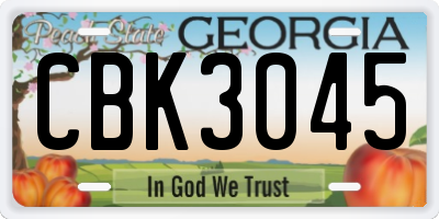 GA license plate CBK3045