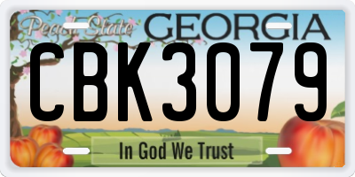 GA license plate CBK3079