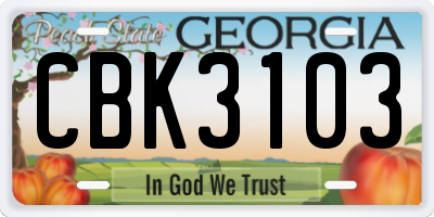 GA license plate CBK3103