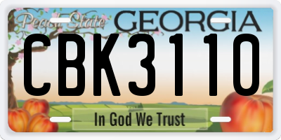 GA license plate CBK3110