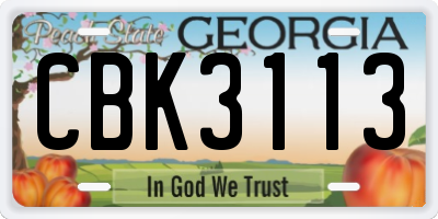 GA license plate CBK3113