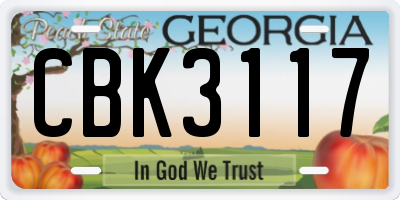 GA license plate CBK3117