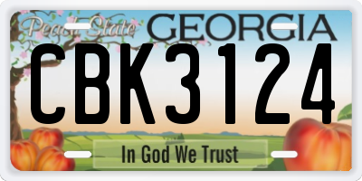 GA license plate CBK3124