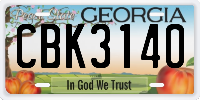 GA license plate CBK3140