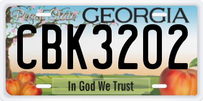 GA license plate CBK3202