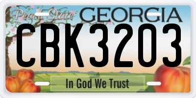 GA license plate CBK3203