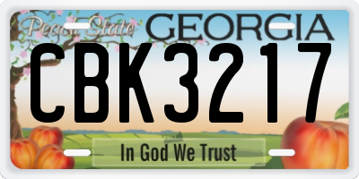 GA license plate CBK3217