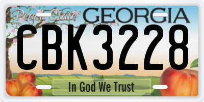 GA license plate CBK3228