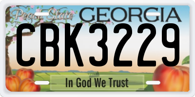 GA license plate CBK3229