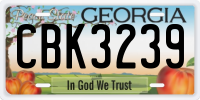 GA license plate CBK3239