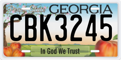 GA license plate CBK3245