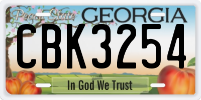 GA license plate CBK3254