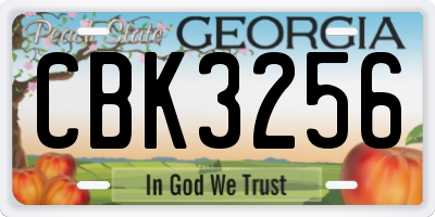 GA license plate CBK3256