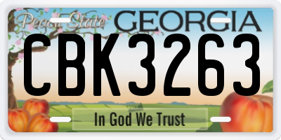 GA license plate CBK3263