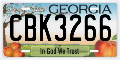 GA license plate CBK3266