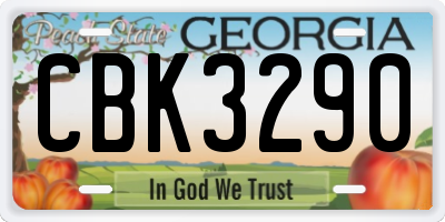 GA license plate CBK3290