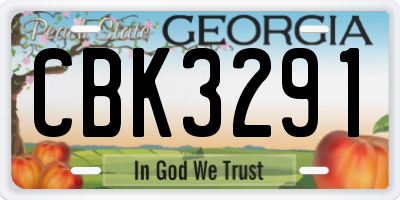 GA license plate CBK3291