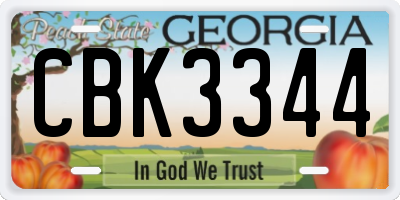 GA license plate CBK3344