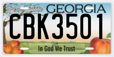 GA license plate CBK3501