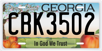 GA license plate CBK3502