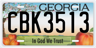GA license plate CBK3513